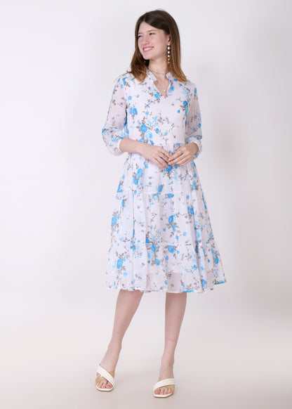 Women Fit and Flare Sky Blue Dress