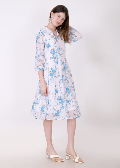 Women Fit and Flare Sky Blue Dress